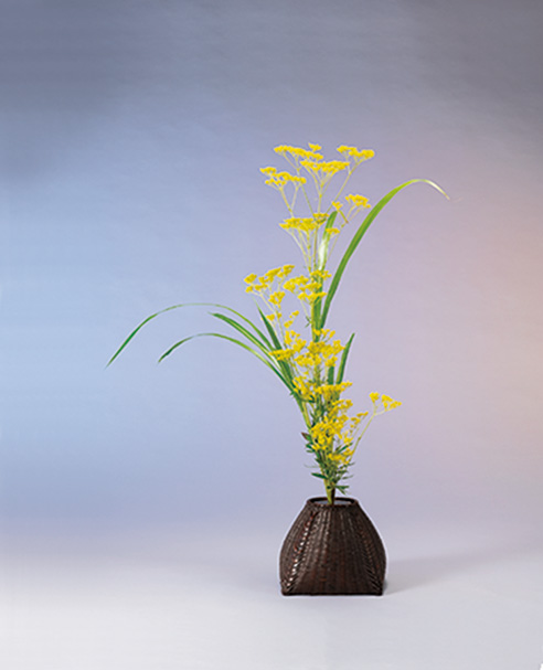 メインビジュアル立花3